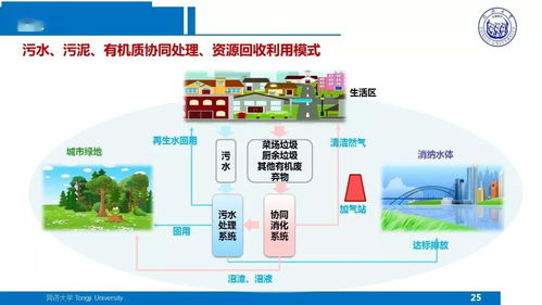 面向污水廠提質(zhì)增效的污泥處理處置技術(shù)方向思考——戴曉虎分享